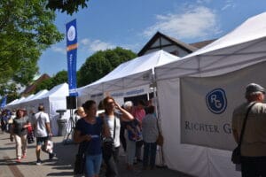 Gödöllő Város Önkormányzata - f6